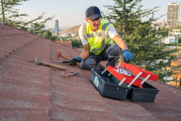 Best Hoarding Cleanup  in Temple Terrace, FL